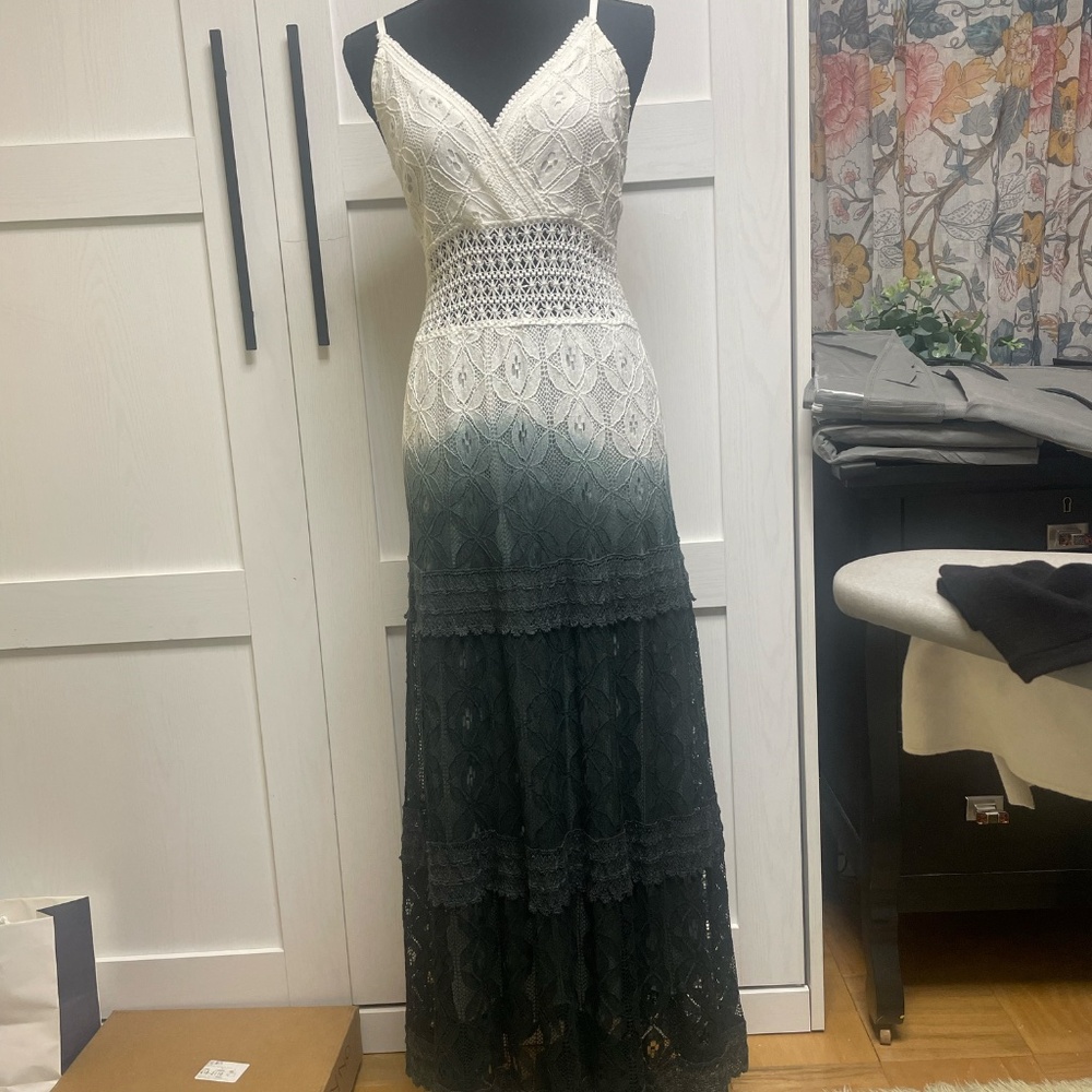 Serendipity Ombre Lace Gown - Limited